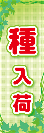 種 01 「種」ののぼりです。絡み付くツタと葉でガーデニング用品の種を表現しました。(K.K)